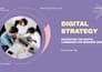 design elegant quote posts for your instagram and pinterest